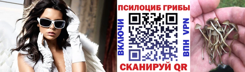 купить наркотики цена blacksprut сайт Галлюциногенные грибы прущие грибы Комсомольск-на-Амуре